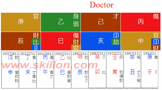  Same BaZi Dcotor 八字 BaZi Four Pillars of Destiny Patt Chee